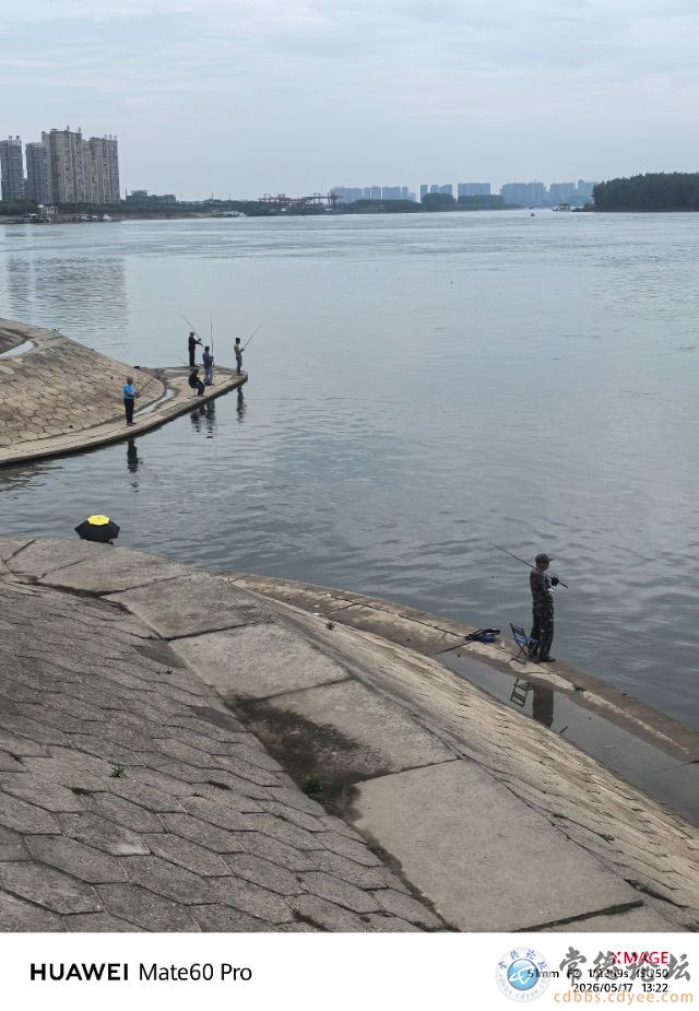 触屏版