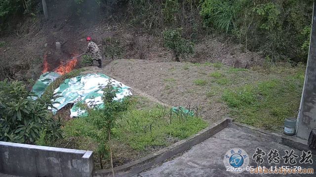 触屏版