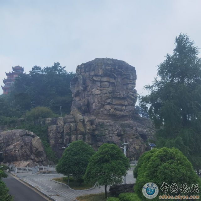 触屏版