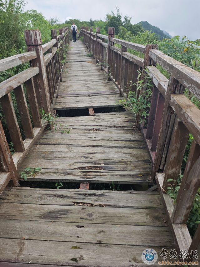 触屏版