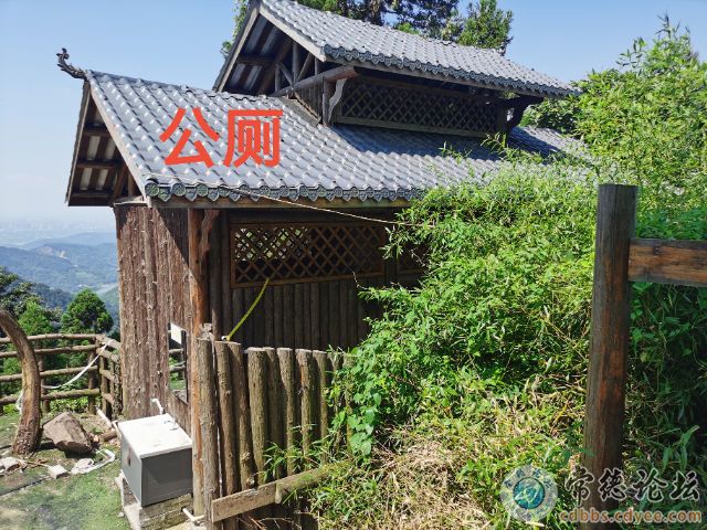 触屏版