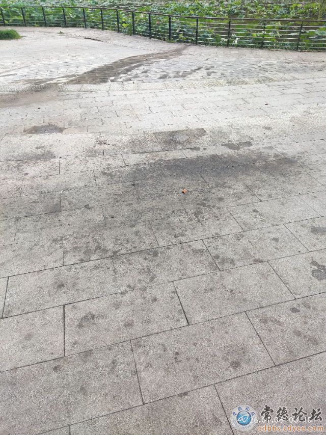 触屏版