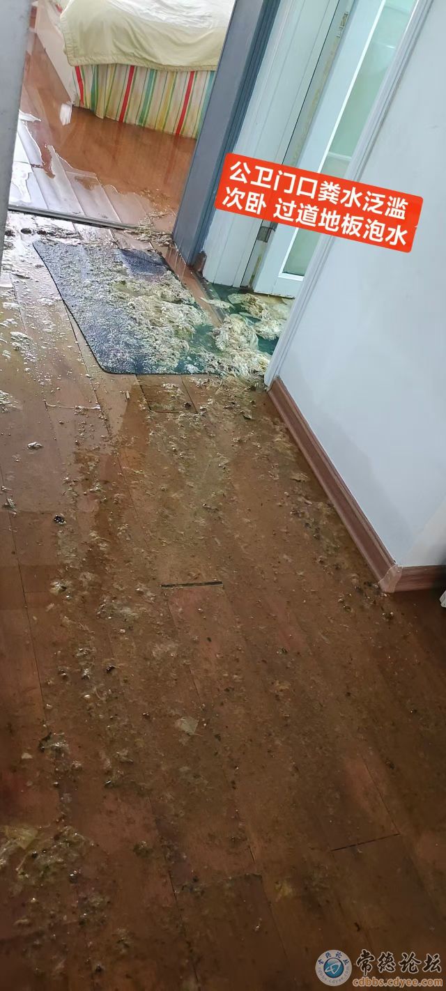 点击查看原图 触屏版