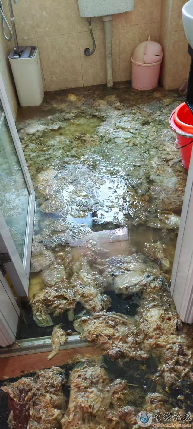点击查看原图 触屏版