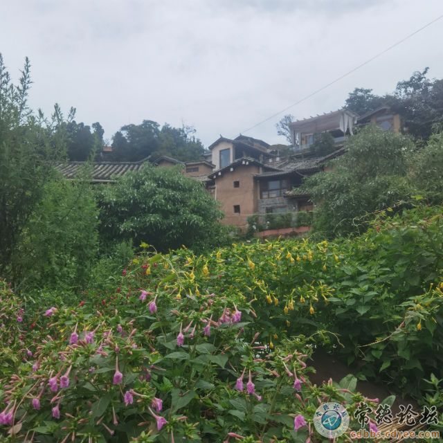 触屏版