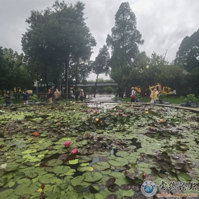 触屏版