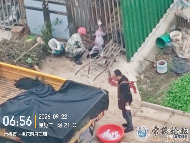 触屏版
