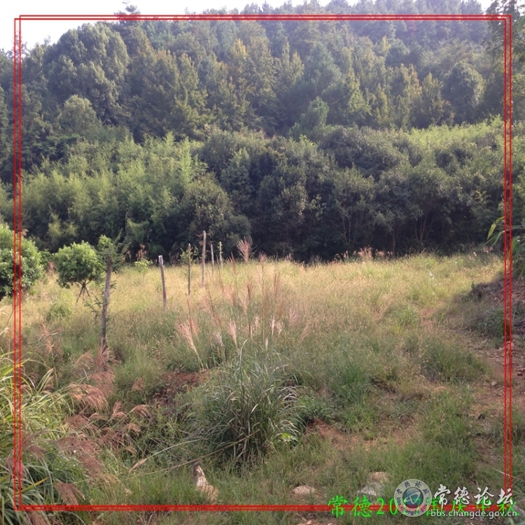 太阳山下