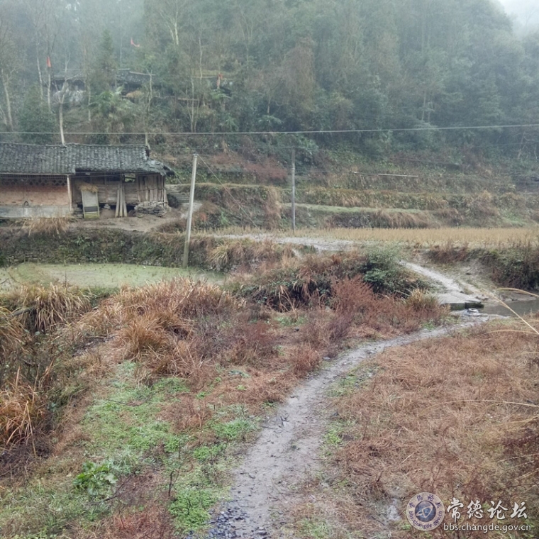 田间路水沟路