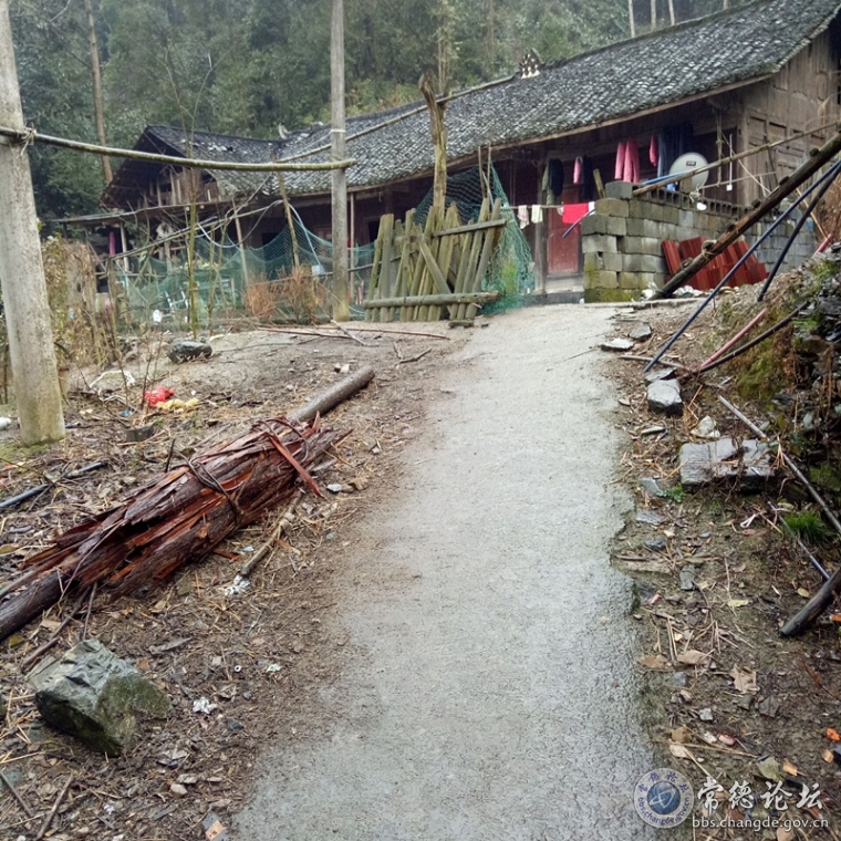 水泥路