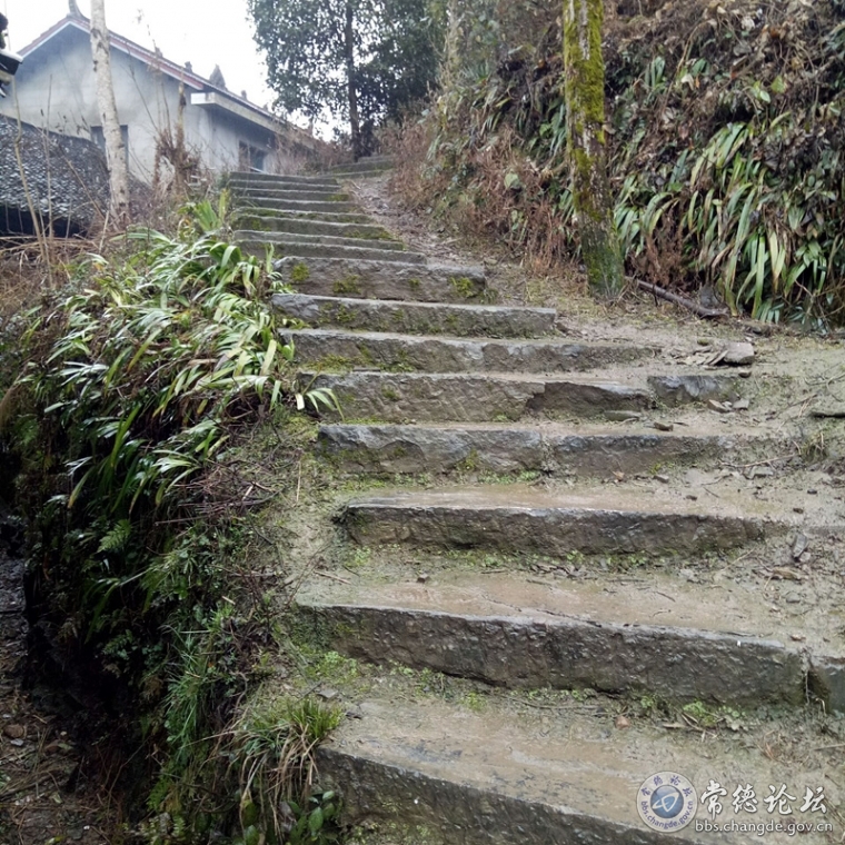 石阶路46步