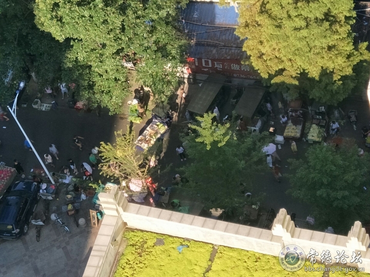 早市现场