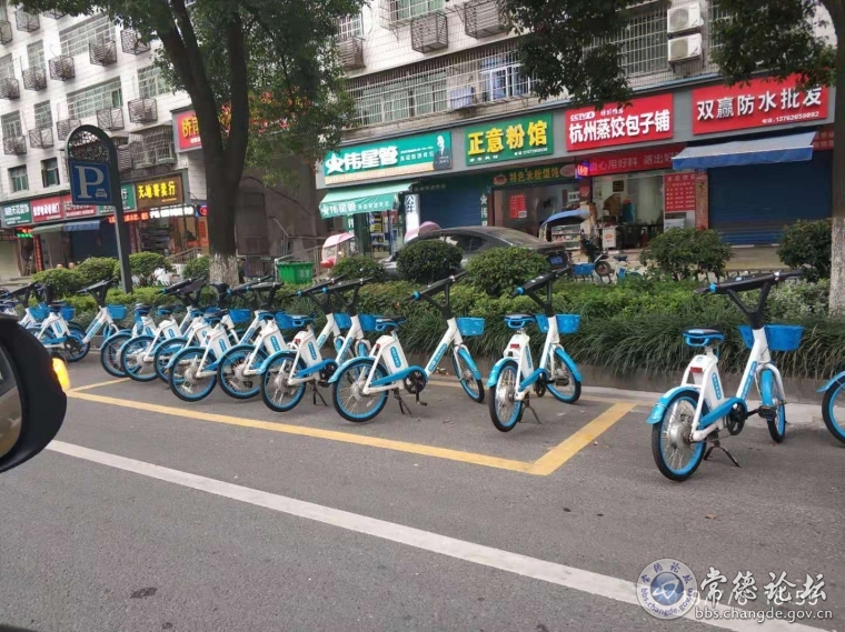 注意这是大马路上。
