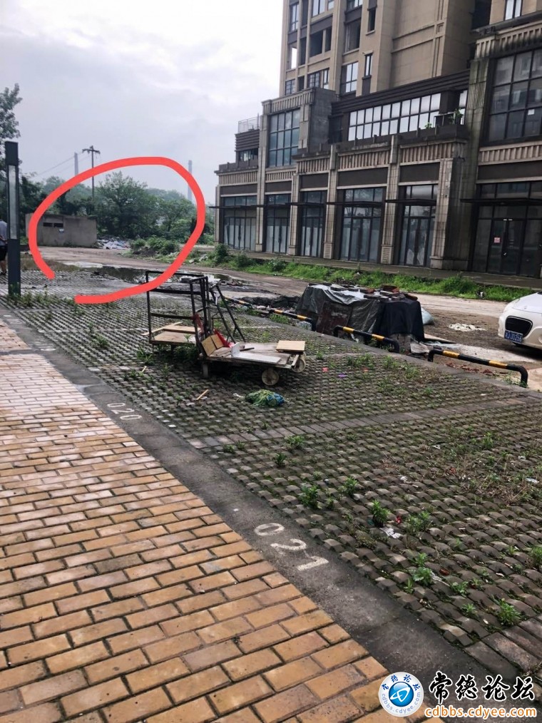 小区公共停车位现状