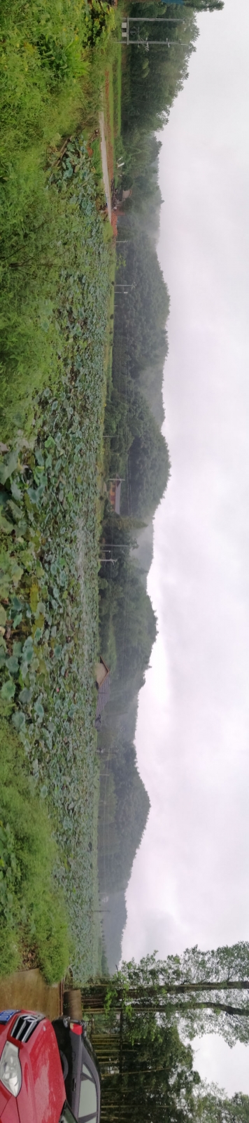 触屏版