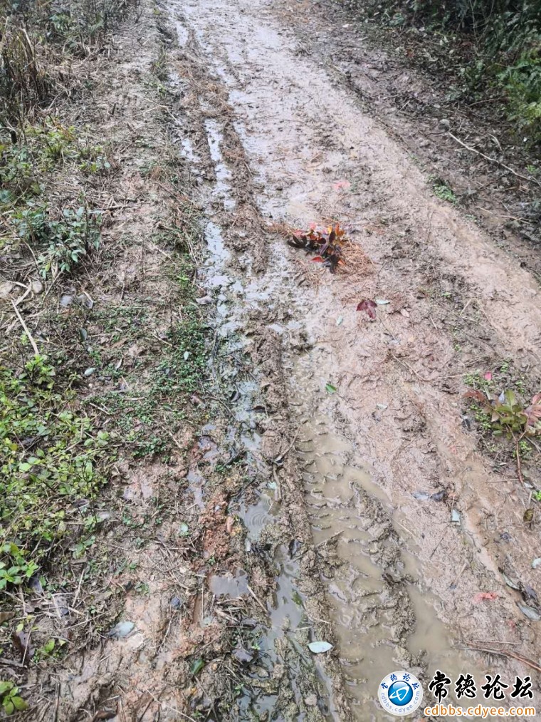 乱流的牛尿和牛屎