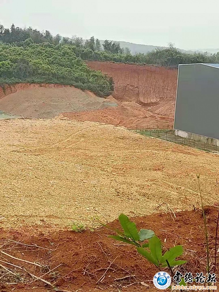 山都快被挖空了