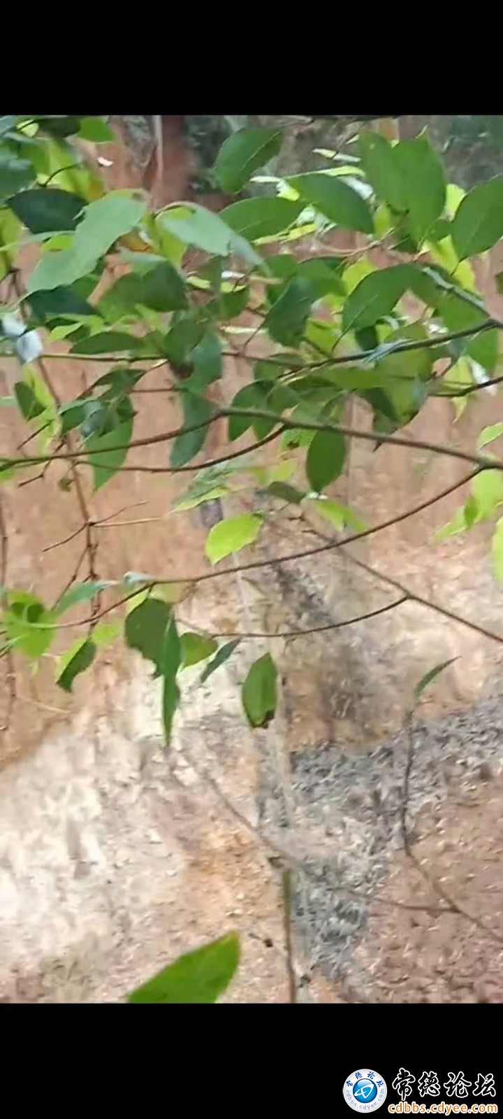 这么多国土能卖多少钱
