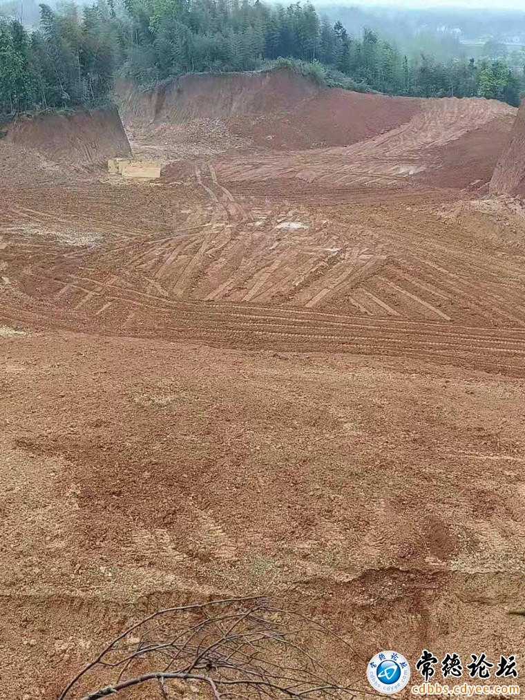 山都快被挖空拉