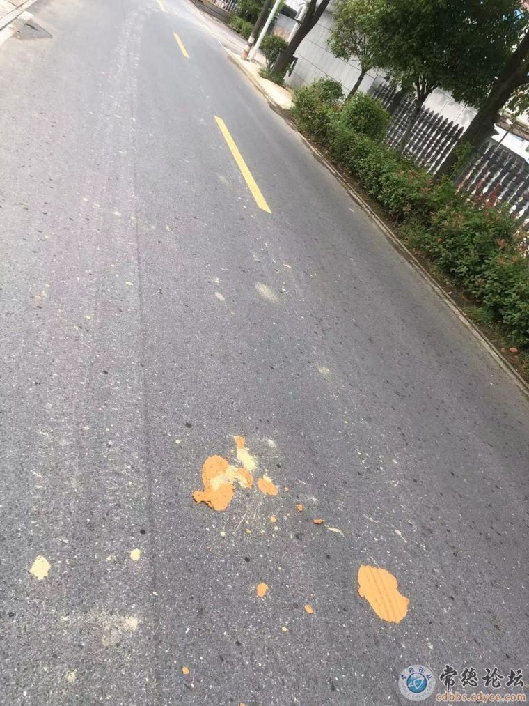 运输道路污染