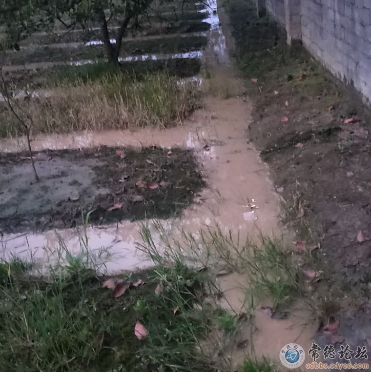 污水随意排放