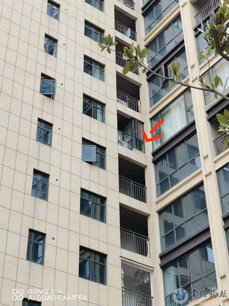 互不打扰的格局