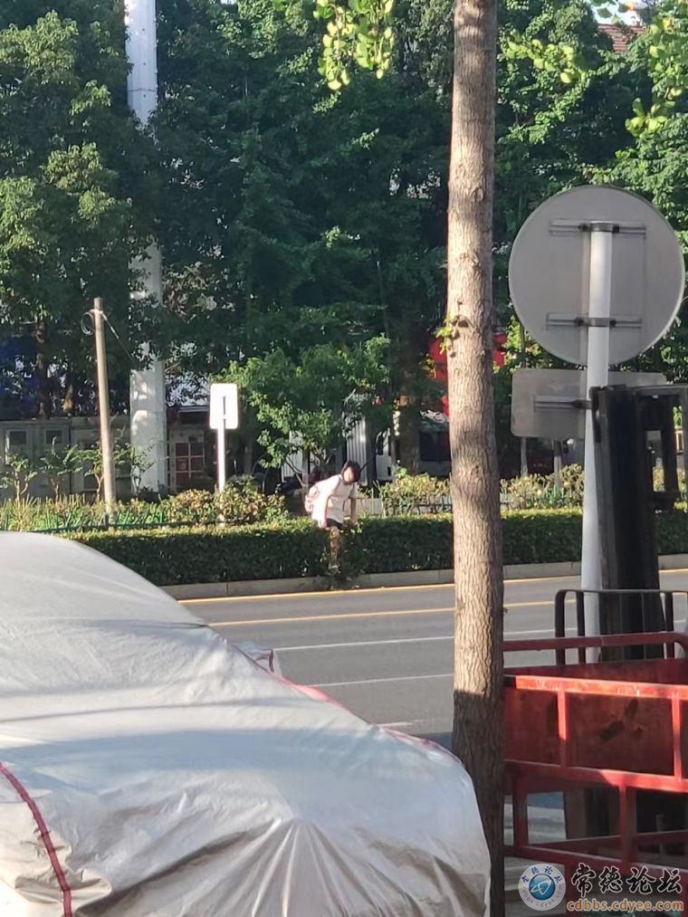 学生垮护栏花坛