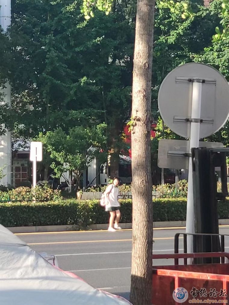 小心翼翼